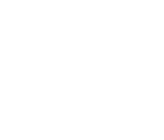 Zonta Z Logo White